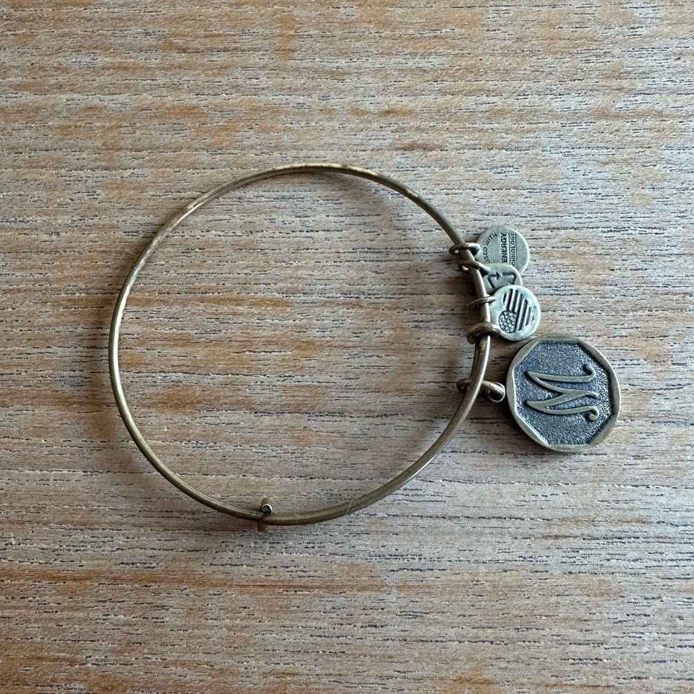 Alex and Ani M Charm Bracelet Gold